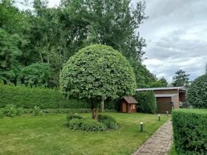 usługi ogrodnicze kraków