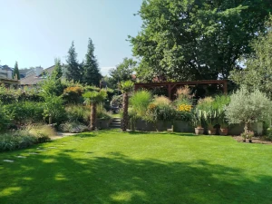 usługi ogrodnicze kraków